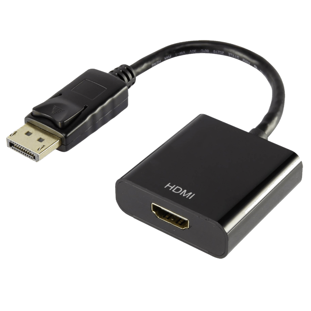 Display Port to D-Sub Convertor