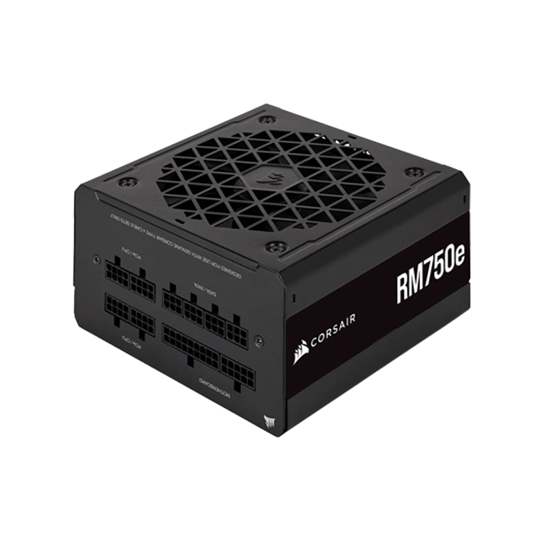 Corsair RM750E - 750 WATT 80 Plus Gold Certified Fully Modular Power Supply (3Y)